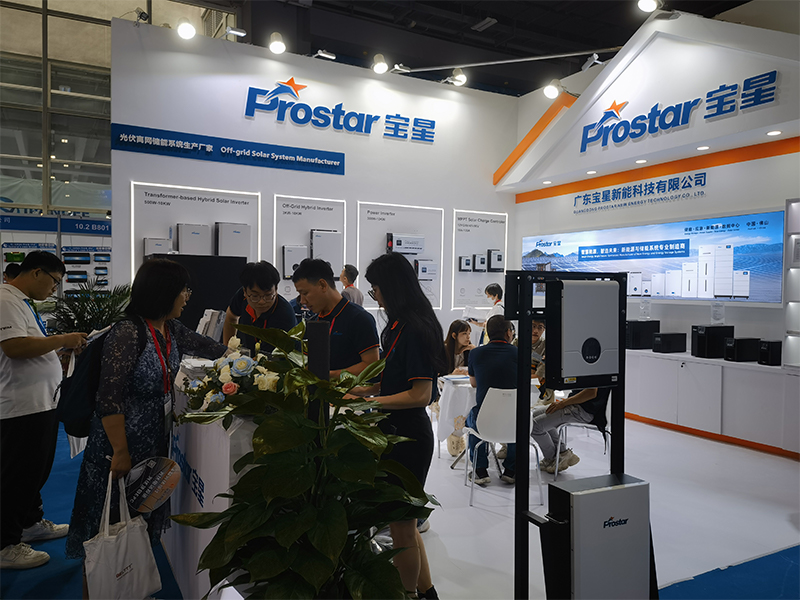 выставка (1)