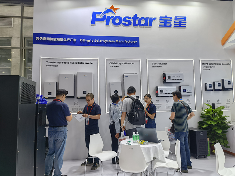 выставка (10)