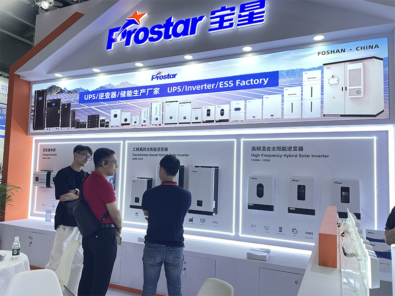 выставка (16)