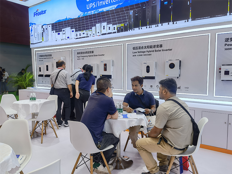 выставка (19)