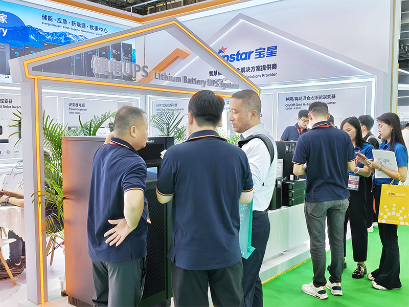 выставка (20)