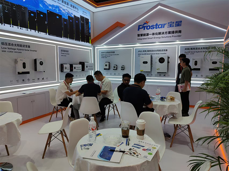 выставка (21)