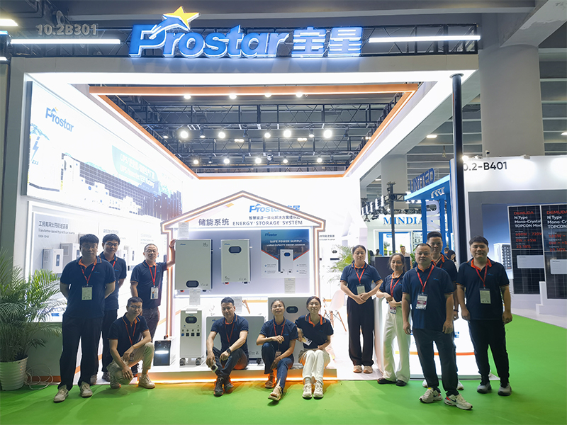 выставка (7)