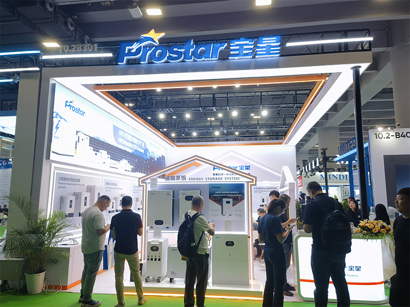 выставка (8)