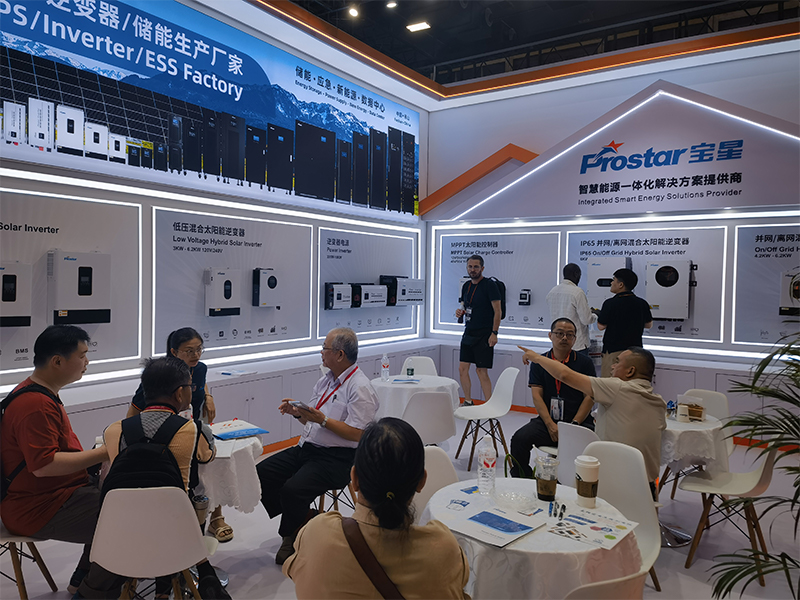 выставка (9)